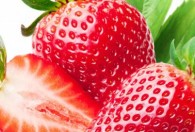 草莓子发芽了怎么种 草莓子发芽了如何种