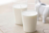 纯牛奶要放冰箱吗 纯牛奶如何正确保存