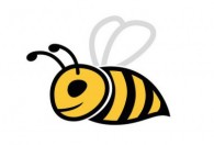 怎么养野蜂 如何养野蜂