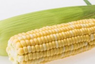 玉米长在哪里 玉米的产地介绍