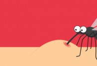 如何驱蚊防蚊 驱蚊防蚊的技巧
