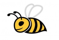 蜜蜂的养殖技巧 如何养殖蜜蜂