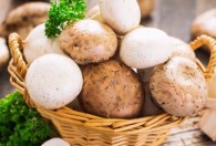 蘑菇怎么做面卤 蘑菇如何做面卤