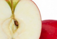 苹果成熟一般在什么季节 苹果什么季节成熟