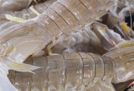 烤皮皮虾的做法 烤皮皮虾的做法是什么