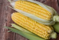 玉米煮多长时间能好的土方法 玉米煮多久