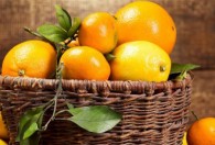 橙子的成熟季节 橙子的成熟季节介绍