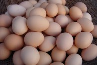 柴鸡蛋煮多长时间 柴鸡蛋煮多久