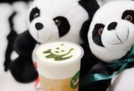 熊猫奶盖茶的正确做法 熊猫奶盖茶的正确做法介绍