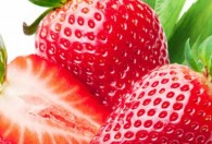 草莓适合什么季节种植 草莓适合哪个季节种植