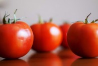 西红柿刚栽上多久浇水一次 如何给西红柿浇水