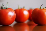 西红柿的原产地是中国吗 哪里是西红柿的原产地