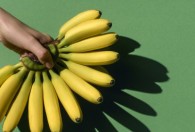 香蕉是怎么催熟的 香蕉的催熟方法