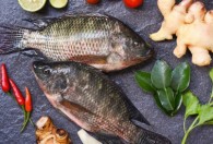铁锅炖鱼用什么鱼最好 铁锅炖鱼用哪些鱼最好