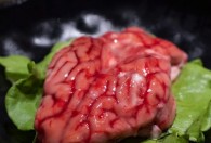 猪脑大概要煮多长时间才能熟 猪脑大概要煮多久才能熟