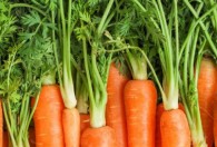 胡萝卜炖多久能熟 胡萝卜炖熟的时长