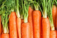 炖胡萝卜一般炖多久能熟 炖胡萝卜多长时间能熟