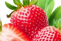 草莓常温下可以放多久 草莓常温下可以放的时长