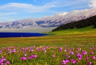 什么季节去新疆最好 新疆旅游的最佳季节