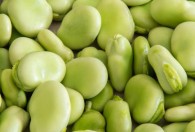 怎么长期保鲜蚕豆 如何长期保鲜蚕豆