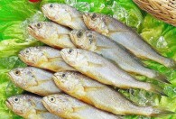 小黄花鱼怎么做好吃又简单家常的 香煎小黄花鱼的做法