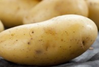 炸土豆是碱性食物还是酸性食物 炸土豆的碱酸性食物定义