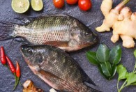 石锅鱼怎么做好吃 石锅鱼如何做好吃