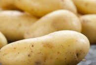秋天什么时候种土豆最合适 土豆的种植时间