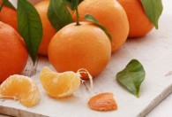 枳是柑橘类水果吗 枳是不是柑橘类水果