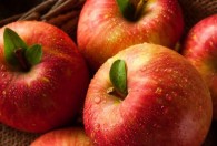 在广西能种苹果吗 在广西能不能种苹果树