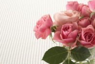 玫瑰放花瓶怎么养才长得好 玫瑰放花瓶如何养才长得好