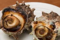 小海螺怎么看熟没熟 如何判断海螺熟了吗