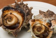 怎样做麻辣海螺肉好吃 如何做好吃的麻辣海螺肉