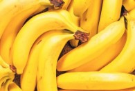 南方香蕉几月种植最好 南方香蕉的种植时间