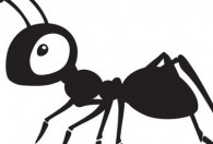 怎么把家里的蚂蚁除掉 家里有蚂蚁如何清除