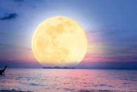 中秋节为什么要献月亮 中秋为什么要献月