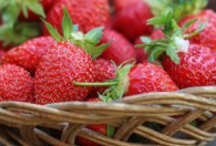 草莓干制作方法 简单家常 自制草莓干的做法