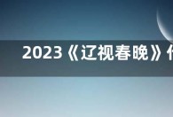 2023《辽视春晚》什么时候播出？辽宁卫视春晚发布概念宣传片