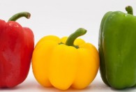 彩椒的种植方法和时间 五彩辣椒的种植方法和时间