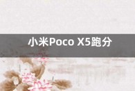 小米Poco X5跑分参数曝光： 8G内存 骁龙695处理器