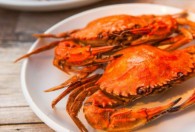 减肥能不能吃螃蟹 减肥期间能吃螃蟹吗
