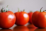 露天西红柿怎样判断熟了 西红柿如何判断是否熟了