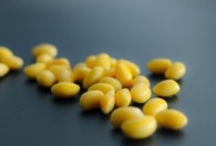 新鲜的黄豆能生吃吗怎么保存 新鲜的黄豆能不能生吃