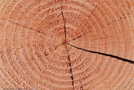 木制品怎样防止开裂 木制品如何防止开裂