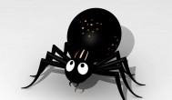 如何养好一只黑色蜘蛛有毒吗 怎样养好一只黑色蜘蛛蜘蛛有毒吗