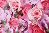 怎么保存玫瑰花 保存玫瑰花方法