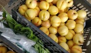黄油桃存放方法 黄油桃如何存放