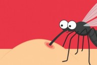 蚊子寿命多长 蚊子寿命多久