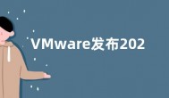 VMware发布2022年多元化、公平和包容性报告