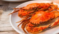 鲜螃蟹煮多长时间能熟 鲜螃蟹煮的时长